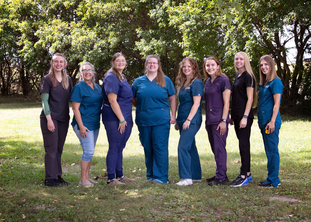 All staff group photo 1