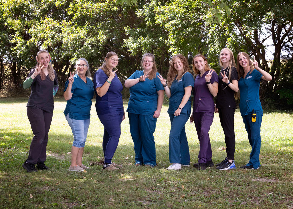 All staff group photo 2