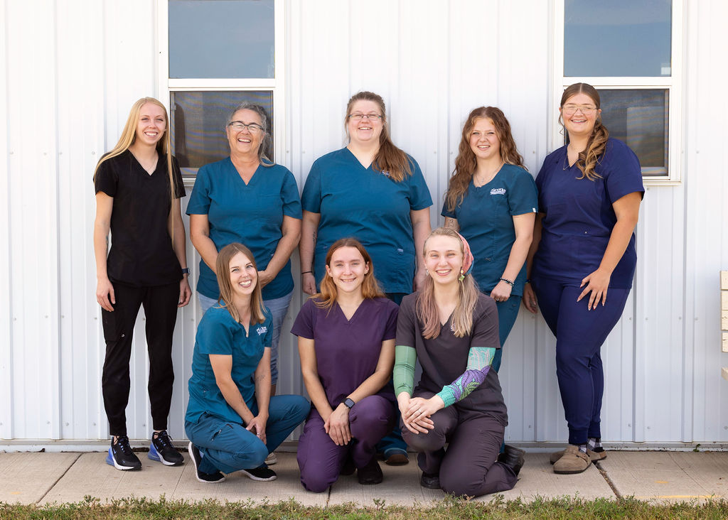 All staff group photo 3